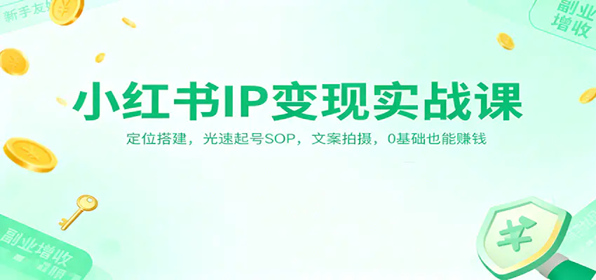 小红书IP变现实战课：定位搭建，光速起号SOP，文案拍摄，0基础也能赚钱