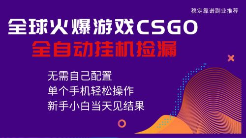 火爆游戏CSGO全自动捡漏，独家最新玩法，单个手机可操作，新手小白日入500+