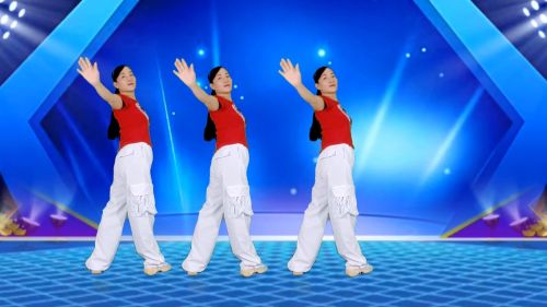 广场舞视频教学500首-高清视频教学