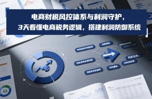 电商财税风控体系与利润守护，3天看懂电商税务逻辑，搭建利润防御系统