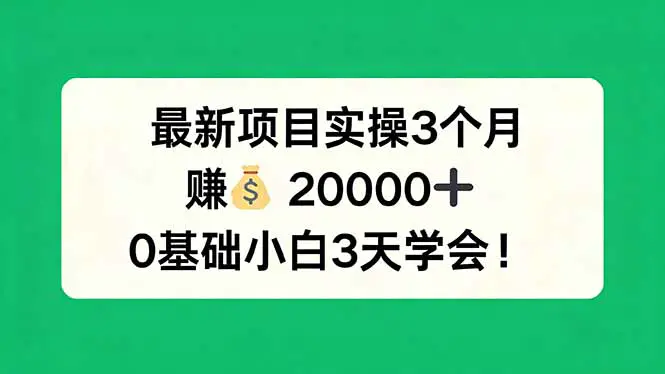 最新项目实操3个月，赚钱20000+，0基础小白3天学会！