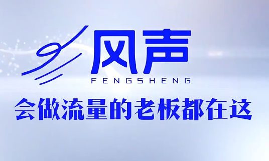 董十一·风声短视频AI获客年度会员-1 董十一·风声短视频AI获客年度会员