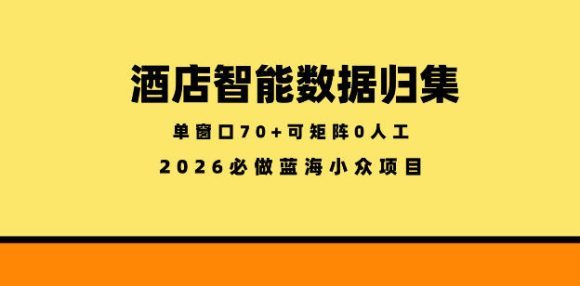 酒店智能数据归集，小众蓝海已经稳定半年之久，单窗口70+零成本矩阵开干【揭秘】