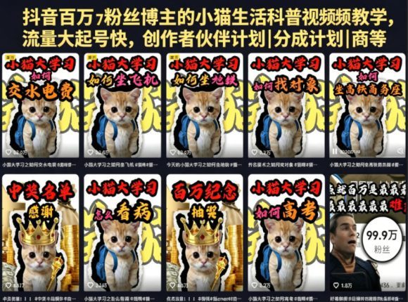 抖音百万粉丝博主的小猫生活科普视频教学,流量大起号快,创作者伙伴计划|分成计划|商单|收徒等-1 抖音百万粉丝博主的小猫生活科普视频教学,流量大起号快,创作者伙伴计划|分成计划|商单|收徒等