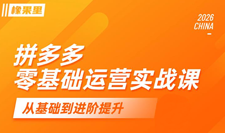 仙道电商·拼多多零基础运营实战课-1 仙道电商·拼多多零基础运营实战课