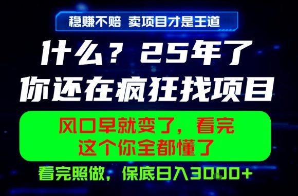 26年,请不要疯狂的找项目做了!卖项目才是真的稳賺不赔,看完照做,保底日入1k+【揭秘】-1 26年,请不要疯狂的找项目做了!卖项目才是真的稳賺不赔,看完照做,保底日入1k+【揭秘】