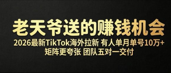老天爷送的賺钱机会!2026最新TikTok海外拉新,有人单月单号10W+,矩阵更夸张,团队交付【揭秘】-1 老天爷送的賺钱机会!2026最新TikTok海外拉新,有人单月单号10W+,矩阵更夸张,团队交付【揭秘】