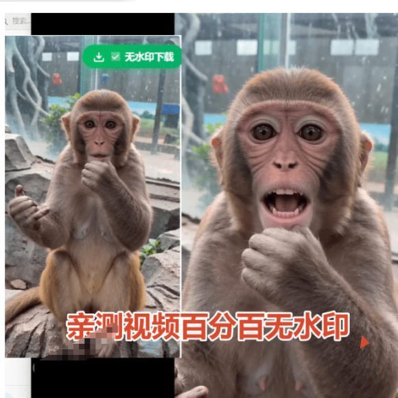 豆包无水印下载终于来了!支持豆包图片/视频,目前唯一免费使用的插件,浏览器拓展-2 豆包无水印下载终于来了!支持豆包图片/视频,目前唯一免费使用的插件,浏览器拓展