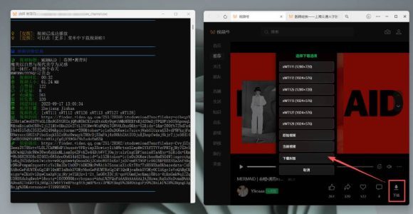 Github热门工具,视频号下载神器又来了!一键注入下载按钮,轻松下载,使用便捷wx_channel-5 Github热门工具,视频号下载神器又来了!一键注入下载按钮,轻松下载,使用便捷wx_channel