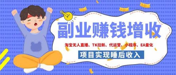2026年多个真实落地副业项目，手把手带你搭建被动收入管道（淘宝无人直播、海外TK拉新…