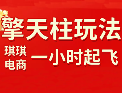 琪琪电商·拼多多擎天柱玩法(更新7月)-1 琪琪电商·拼多多擎天柱玩法(更新7月)