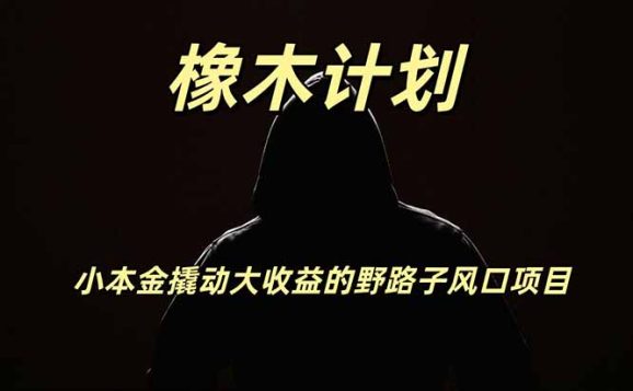 橡木计划,小投入撬动高回报的风口野路子项目,一天投入2小时左右-1 橡木计划,小投入撬动高回报的风口野路子项目,一天投入2小时左右