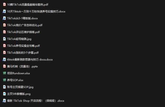 2026TikTok海外掘金实战课——养号SOP+爆款公式+选品测款+广告投流+Shop开店,跑通海外运营全链路-2 2026TikTok海外掘金实战课——养号SOP+爆款公式+选品测款+广告投流+Shop开店,跑通海外运营全链路