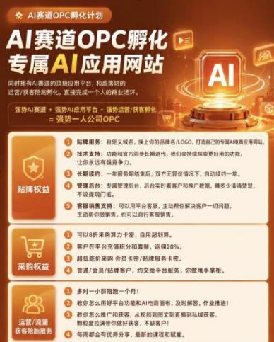 【首发】OPC一人公司项目,单日500+,手机电脑不限制,打造属于自己的品牌画布AI产品,收费陪跑【揭秘】-4 【首发】OPC一人公司项目,单日500+,手机电脑不限制,打造属于自己的品牌画布AI产品,收费陪跑【揭秘】