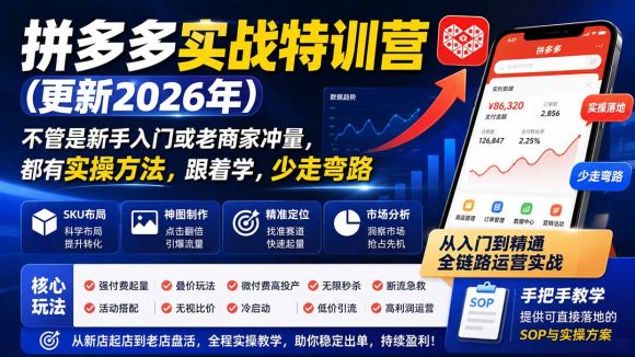 拼多多实战特训营(更新26年0822)-1 拼多多实战特训营(更新26年0822)