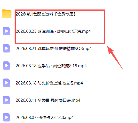 拼多多实战特训营(更新26年0827)-2 拼多多实战特训营(更新26年0827)