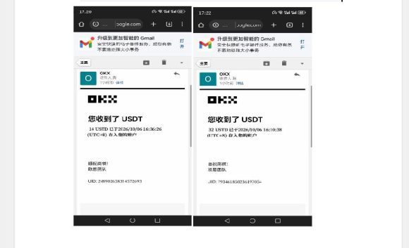 外面收费8000的myupload视频挂机撸美金项目,单日收益20-50美金+工作室可批量搞【挂机脚本+详细】-6 外面收费8000的myupload视频挂机撸美金项目,单日收益20-50美金+工作室可批量搞【挂机脚本+详细】