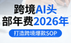 跨境AI头部年费2026年，打造跨境爆款SOP
