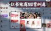 小红书电商108案例库，百W利润分析，带一部分人先冲进小红书【文档】