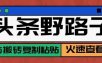 头条单账号日收益300+野路子玩法赛道，无脑搬砖复制粘贴，保姆级教程
