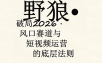 野狼团队·多平台实操运营课(更新4月)