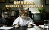最新宝藏赛道！猫咪还原经典港片，涨粉飞快，新手简单上手
