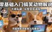 零基础入门搞笑动物解说，大佬私藏完整变现课程，照着模板就能做出高播放