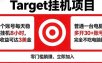 海外平台Target，正规运营商合作、技术兜底长期稳定、防风控、任务不断档、收益透明、灵活提现
