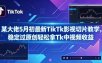 某大佬5月初最新TikTk影视切片教学，稳定过原创轻松拿Tk中视频收益