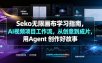 Seko无限画布学习指南，AI视频项目工作流，从创意到成片，用Agent 创作好故事