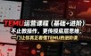 TEMU运营课程(基础+进阶)，不止教操作，更传授底层思维，一门让你真正看懂TEMU的进阶课