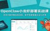 OpenClaw小龙虾部署实战课：本体大脑完整安装流程，新手快速搭建AI运行环境