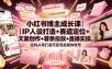 小红书博主成长课｜IP人设打造+赛道定位+文案创作+薯条投放+直播实操，宝妈从零打造可变现自媒体账号