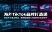 海外TikTok品牌打造课：利基市场选品验证，爆款短视频AI内容付费投放教学