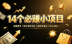 14 个必赚小项目，无脑简单，百分百有利润，副业的首选，日入 400+