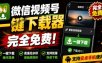 手机端也可下载微信视频号了？完全免费使用，一键解析视频号原视频和封面视频号下载助手v1.1