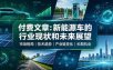 付费文章：新能原车的行业现状和未来展望