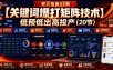 老火电商04期：【关键词爆打矩阵技术】低预低出高投产(20节)