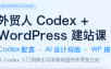 大卫·外贸人Codex + WordPress建站课(更新8月)