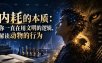 付费文章：内耗的本质：你一直在用文明的逻辑，解读动物的行为