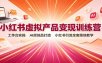 小红书虚拟产品变现训练营：工作台实操，AI原创品打造，小红书引流全套落地教学
