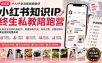 小红书知识IP终生私教陪跑营：从账号定位到内容起号，掌握涨粉引流、知识付费、社群运营与商业变现完整体系