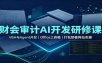 财会审计AI开发研修课：VBA与Agent开发，Office工具箱，打包部署网站实操