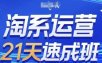 淘系运营21天速成班，0基础轻松搞定淘系运营，不做假把式，快速复制落地(更新26年8月)