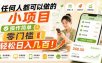 任何人都可以做的小项目：操作简单，零门槛轻松日入几百！【揭秘】