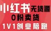 小红书无货源0粉电商课，开店准备、选品策略、笔记撰写、视频剪辑、数据分析、账号打造、资料文档(更新26年09月16日)
