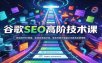 谷歌SEO高阶技术课：防检测PBN搭建，老域名筛选评估，域名托管外链锚文本排名运营策略