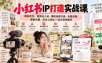 小红书ip打造实战课，商业定位、差异化人设、爆款选题文案、拍摄剪辑、搜索流量、安全公转私一站式落地教学