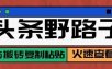 头条号野路子玩法，零成本起号无脑搬砖复制粘贴，普通人稳稳月入过万