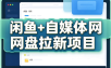 力辛电商·闲鱼+自媒体网盘拉新项目